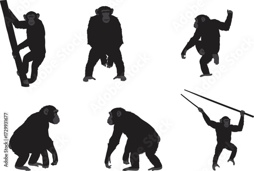 Chimpanzee silhouette vector illustration set, monkey poses climbing and sitting, wild animal design, black primate artwork, jungle wildlife clipart collection