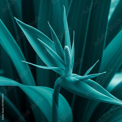 Close-up Teal Cyan Macro Shot of a Tropical Plant Stamen Bud Showing Delicate Details in Nature's Abstract Art