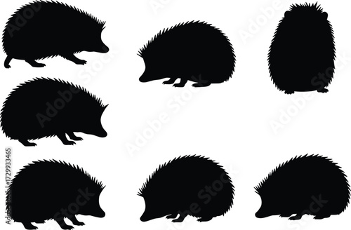 Hedgehog silhouette vector collection, spiny animal illustration set, woodland mammal clipart, curled defensive pose, black silhouette design for art