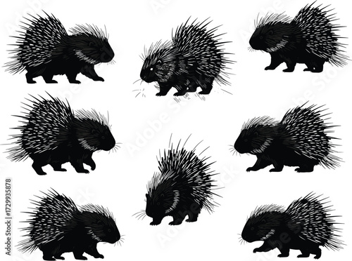 Porcupine cartoon illustration collection, spiky rodent animal vector art, wildlife drawing set, nature clipart design, cute mammal artwork, defensive quills graphics