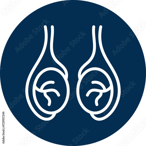 Testicles icon for human body, business, medical, clinic, website, application, printing, document, poster design, etc