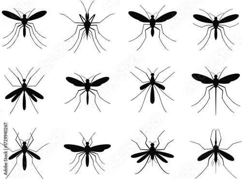 Mosquito silhouette collection, insect vector icons, pest control illustration, entomology graphic set, CAD drawing flat vector illustration, disease carrier symbols