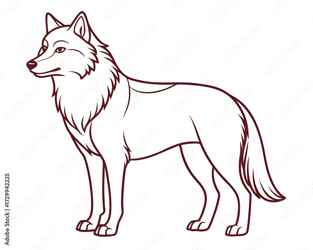 Obraz premium wolf, illustration outline isolated on white background