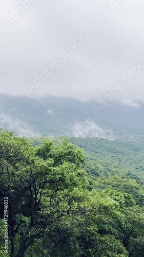 View of the misty mountain valley in the clouds