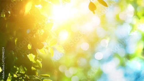 spring bokeh background. abstract bokeh background. spring green bokeh background