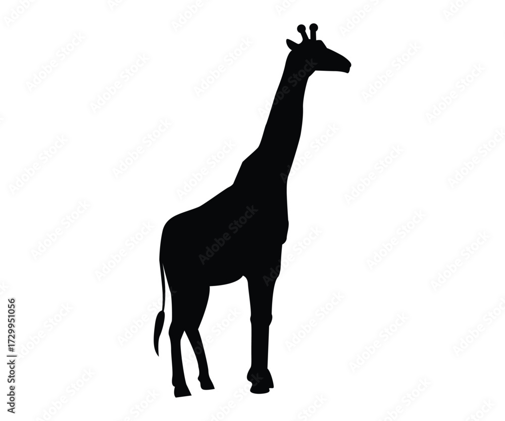 Fototapeta premium Giraffe Silhouette Wildlife Outline Vector 