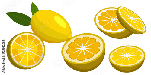Lemon Collection: Whole, Sliced, Halved and Quartered Lemon on Transparent Background.