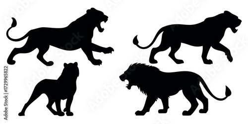 Vector Silhouette Set of Lions Roaring Walking and Resting Poses