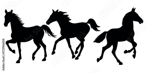 Vector Silhouette Set of Horses Running Standing and Grazing Poses