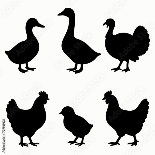 Poultry bird silhouettes set
