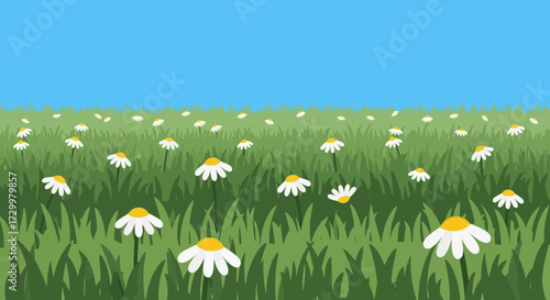 A vibrant field of white daisies with yellow centers blooms under a clear blue sky, creating a peaceful and cheerful scene.