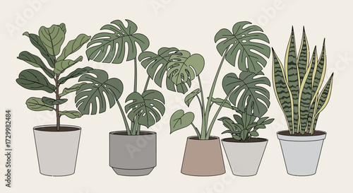 Illustration of various potted houseplants, showcasing diverse leaf shapes and textures.