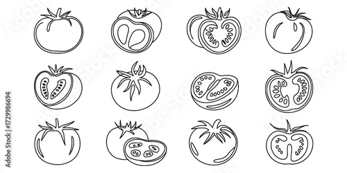 Continuous line drawing vector illustration of tomatoes whole and sliced vector