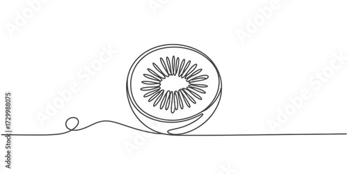 Minimalist vector art continuous line drawing of a fresh kiwi fruit slice vector