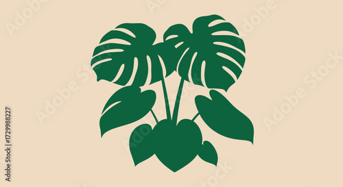 Illustration of a monstera plant with large, split leaves in a dark green hue against a light beige background.