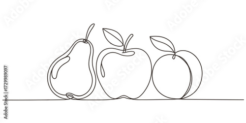Continuous one line drawing vector illustration of pear apple and peach fruit vector