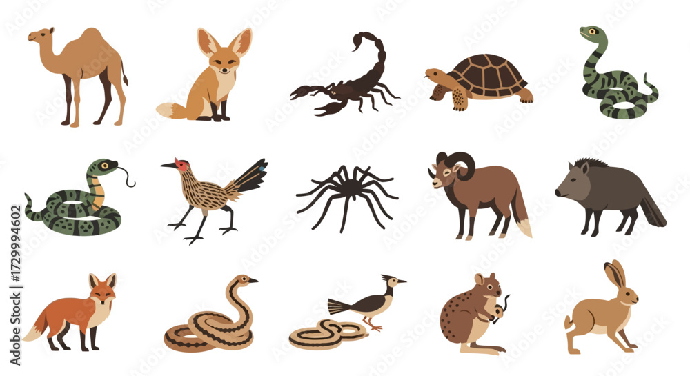 Obraz premium Collection of Desert Animals and Wildlife Creatures.