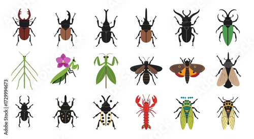 Collection of Diverse Insects and Arthropods in Various Poses.