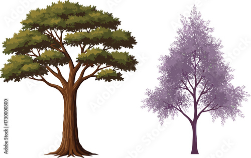 Green tree, purple tree, botanical contrast, nature diversity, tree comparison, foliage texture, seasonal trees, forest elements, isolated background, plant study