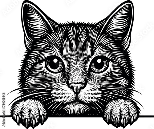 Cat peeking vector silhouette clipart design