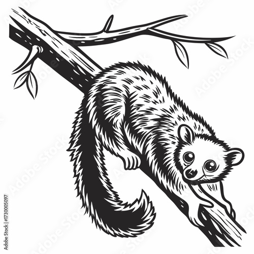 hand drawn illustration of a squirrel