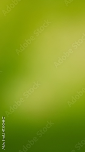 Abstract background in a uniform, mid-toned green. Representing stability, natural balance, and calm, unpretentious ecology.
