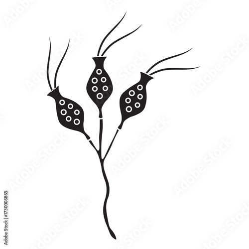 dinobryon protozoa glyph icon