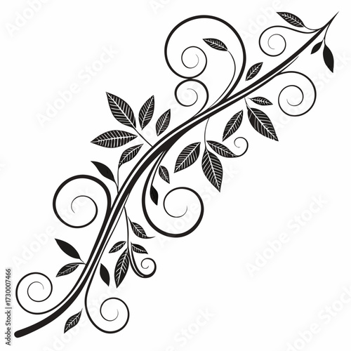 ornamental text divider, elegant border design elements, perfect for web, page decoration, invitations, cards. Vintage style, monochromatic, vector set. Unique, intricate swirls, curls, shapes