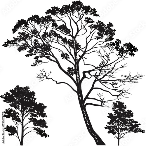 Tree top view outline collection, diverse foliage patterns, ideal for architectural plans, landscape designs, urban planning botanical illustrations, and garden