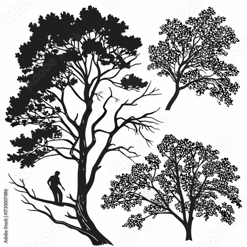 Tree top view outline collection, diverse foliage patterns, ideal for architectural plans, landscape designs, urban planning botanical illustrations, and garden