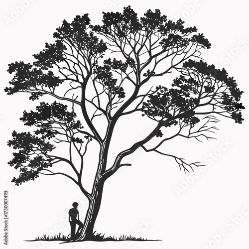Tree top view outline collection, diverse foliage patterns, ideal for architectural plans, landscape designs, urban planning botanical illustrations, and garden