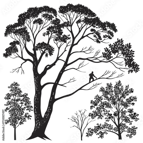 Tree top view outline collection, diverse foliage patterns, ideal for architectural plans, landscape designs, urban planning botanical illustrations, and garden