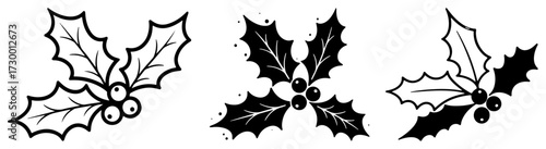 Set of Christmas Holly Berry Illustrations