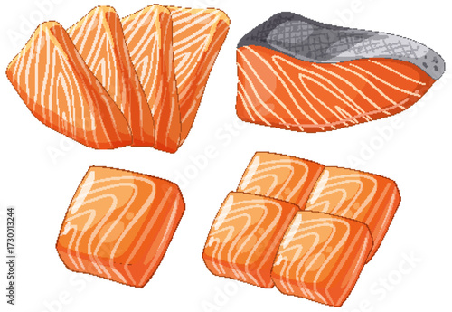 Vector Illustration of Fresh Salmon Cuts