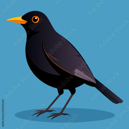 Un oiseau noir mâle en Angleterre