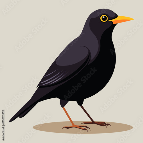 Un oiseau noir mâle en Angleterre