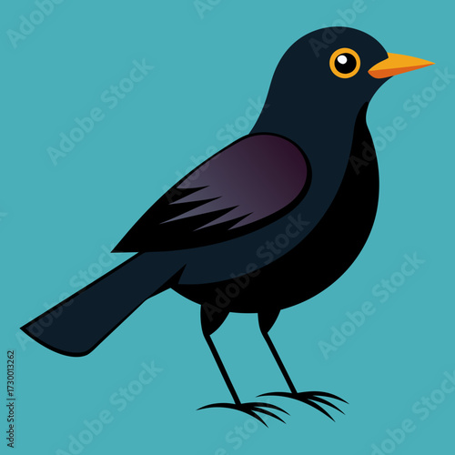 Un oiseau noir mâle en Angleterre