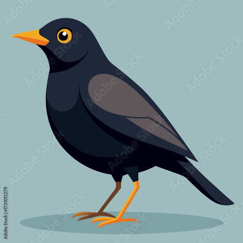Un oiseau noir mâle en Angleterre
