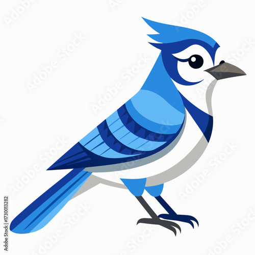 Geai bleu, au garde-corps