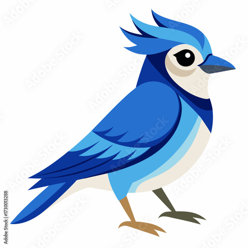 Geai bleu, au garde-corps