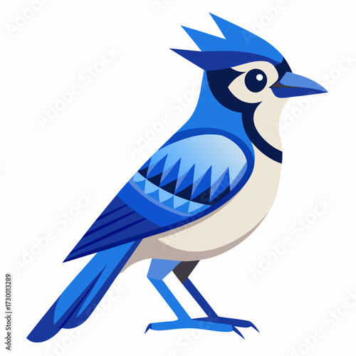 Geai bleu, au garde-corps