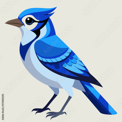 Geai bleu, au garde-corps