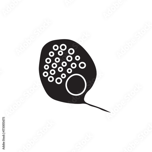 Phacus Protozoa glyph icon 