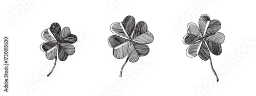 Clover leaves sketch. Decorative sceleton leaf icons. Vector hand drawn illustration. Minimal line art style. St Patrick's day elements.