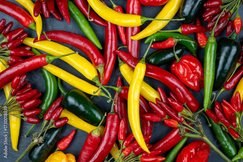 Bright chili variety in red, yellow, and green