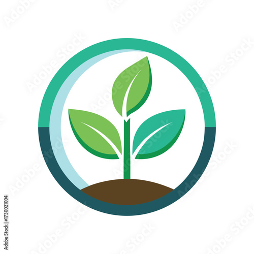 Green sprout growing