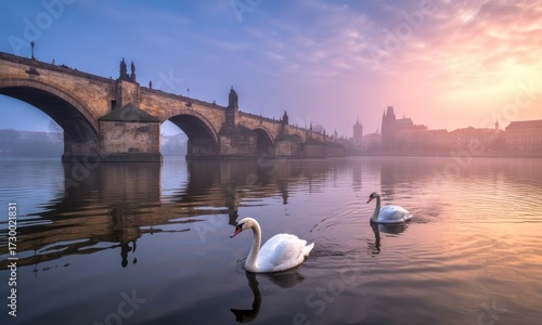Wallpaper Mural Two swans glide on a river reflecting a historic bridge at sunrise Torontodigital.ca