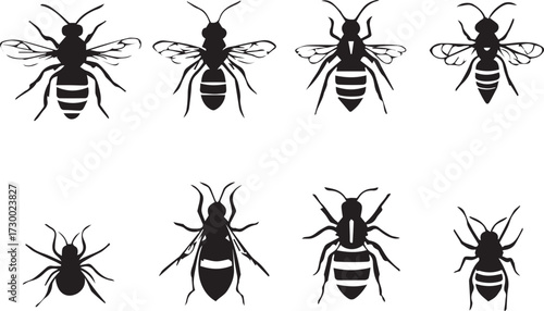 Black and white bee icon set with varied wing patterns, body shapes, and stylized insect vector illustrations