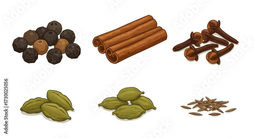 A vibrant collection of common spices black peppercorns, cinnamon sticks, cloves, cardamom pods, and cumin seeds, beautifully illustrated in an EPS vector format