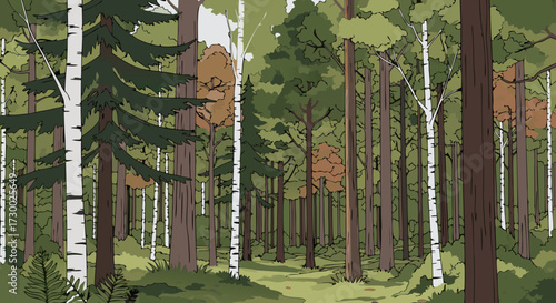 Serene forest scene with a variety of trees, including birch and evergreen, bathed in dappled sunlight, creating a peaceful natural landscape for outdoor exploration